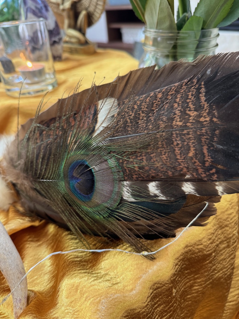 A peacock feather on gold silk