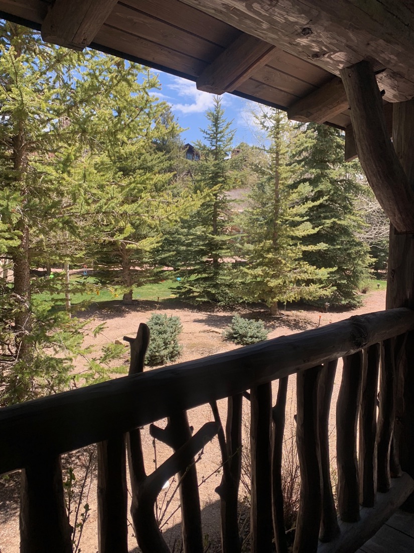 A mountain-lodge balcony among the pines
